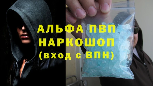 ГАЛЛЮЦИНОГЕННЫЕ ГРИБЫ Абаза