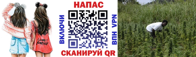 купить закладку  Омск  Шишки марихуана OG Kush 